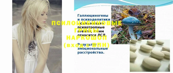герыч Алексин