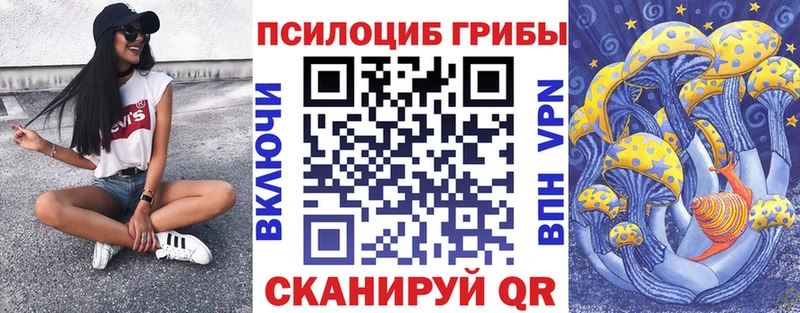 мега зеркало  Буй  Галлюциногенные грибы MAGIC MUSHROOMS 